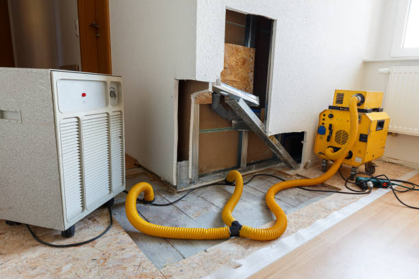 Best Forensic Mold Investigation  in Sussex, NJ
